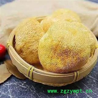 秦岭天然无硫猴头菇 猴菇 猴姑 猴菇菌 手摘日晒无硫250g图3