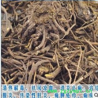 马尾连 统 产地 云南省思茅市翠云区图3