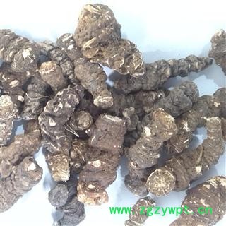 重楼 统 产地 海外图3