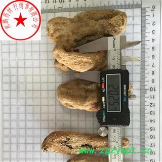 天麻 二三级 产地 安徽省图2