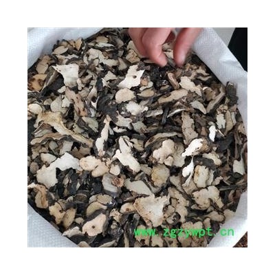 猪苓 鸡屎苓水洗统片 产地 陕西省汉中市