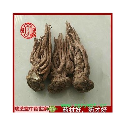 当归  全当归中条50支 药典正品 中药材 瑞芝堂产地直供1000克 规格齐全 一站购齐