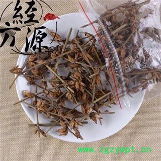 淡竹花 天竹花 竹花 统段图3