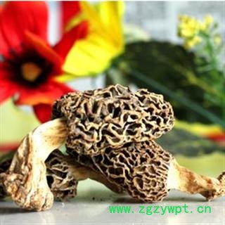 羊肚菌 统 产地 安徽省亳州市谯城区图2