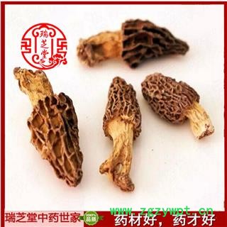 羊肚菌统货 西藏羊肚菌 药典正品 中药材 瑞芝堂产地直供1000克 规格齐全 一站购齐图4