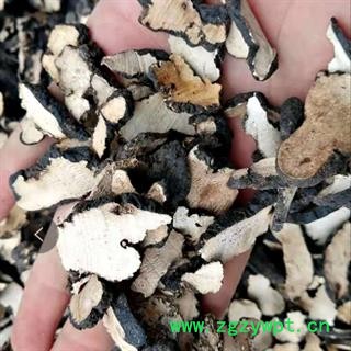 中药材猪苓 正品猪苓片 陕西猪苓片各种规格 水洗净货 大货可议价 安国中药材批发零售大全图3