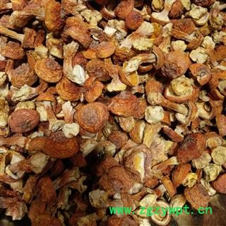 诺源药材行中药材松茸 姬松茸 松茸 云南七彩菌汤包图2