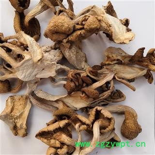 诺源药材行中药材密环菌，羊肚菌 鸡油菌  七彩菌汤包汤料图2