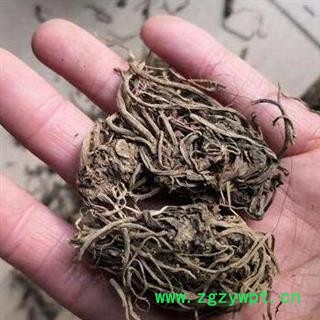 中药材蜘蛛香 马蹄香、土细辛、心叶缬草、养心莲 品种齐全 产地云南安国市场批发零售大全图2