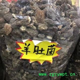 安祁名药羊肚菌图2