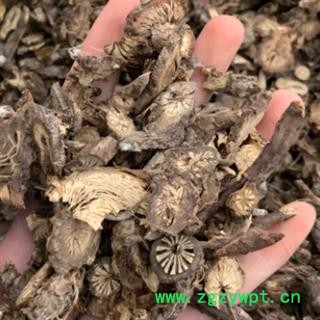 漏芦 漏芦统货 产地 河北省图2