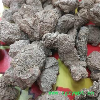 安祁名药正品野生灵芝 虎乳灵芝图2