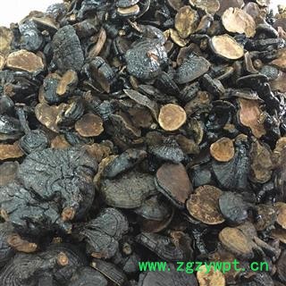 云南野生反柄紫芝 马蹄灵芝 紫灵芝品质保证七天无条件退换图2