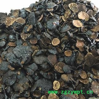 云南野生反柄紫芝 马蹄灵芝 紫灵芝品质保证七天无条件退换图3