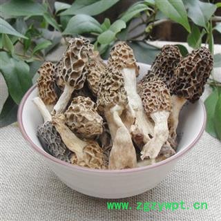 羊肚菌 秦岭优质羊肚菌 羊肚蘑 手工采摘 日晒干燥50g图2