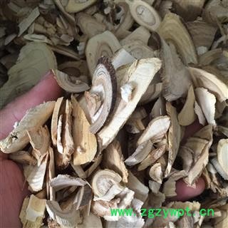 鸟不企 鸟不宿、猫儿刺、枸骨冬青、八角刺 老虎刺 统 产地 浙江省 双鹏药材行 可提供打粉双鹏药材行 可提供打粉图2