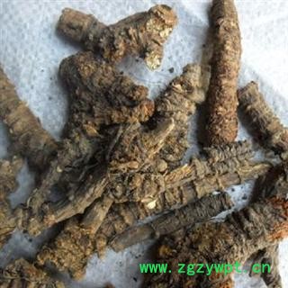 羌活 统 产地 甘肃省 库存 500公斤图2