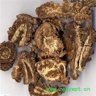 羌活 统 产地 甘肃省 库存 500公斤图3