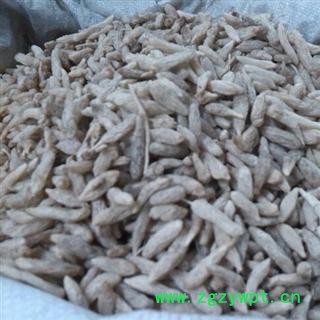 麦冬 统 产地 山东省济南市平阴县图2