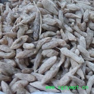 麦冬 统 产地 山东省济南市平阴县图3