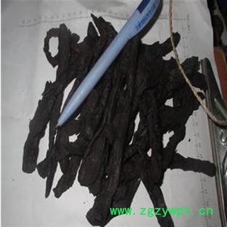 肉苁蓉 统 产地 青海省玉树藏族自治州玉树县图2