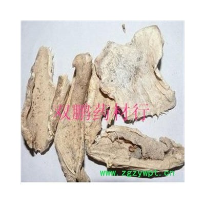 仙人掌 统 产地 安徽省亳州市谯城区