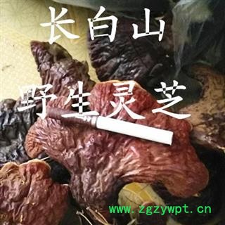 灵芝 长白山野生灵芝中号 产地 吉林省白山市抚松县图2