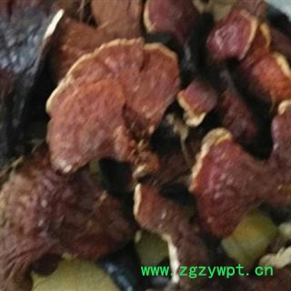 灵芝 长白山野生灵芝中号 产地 吉林省白山市抚松县图3