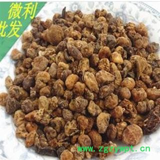 山慈菇 统 产地 云南省文山壮族苗族自治图2