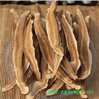 灵芝 山东家种赤灵芝长片统片 产地 山东省图4