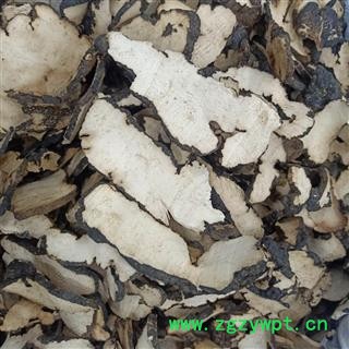 猪苓 无硫选片 高含量 产地 陕西省 小影全品类中药材店铺图3