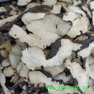 猪苓 无硫选片 高含量 产地 陕西省 小影全品类中药材店铺图2