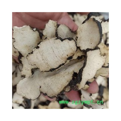 猪苓 无硫选片 高含量 产地 陕西省 小影全品类中药材店铺