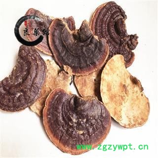 满99元全场包邮-野生灵芝海南野生无柄赤芝 统货产地直销灵芝图2