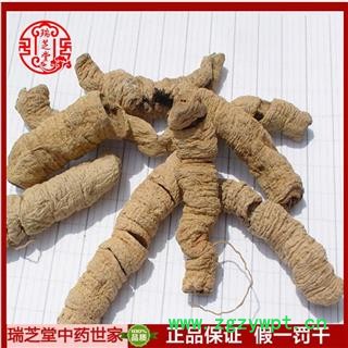 巴戟天 生巴戟肉一级个0.8 中药材巴戟干去芯巴戟肉瑞芝堂产地直销1000克 规格齐全 一站购齐图3