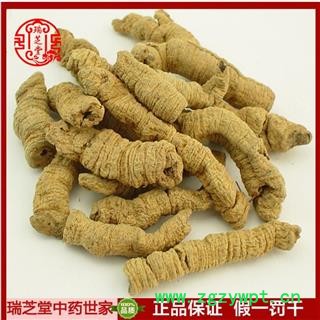 巴戟天 生巴戟肉一级个0.8 中药材巴戟干去芯巴戟肉瑞芝堂产地直销1000克 规格齐全 一站购齐图2