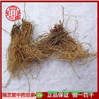 细辛统货 北细辛整根 中药材 瑞芝堂产地直销1000g图2