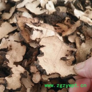 诺源药材行优质选货 猪苓  无硫选货图4