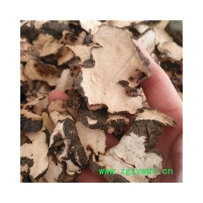 诺源药材行优质选货 猪苓  无硫选货