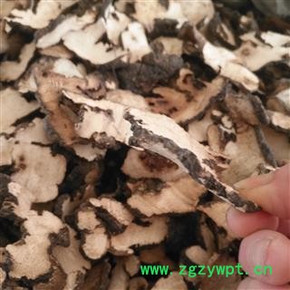 诺源药材行优质选货 猪苓  无硫选货图3