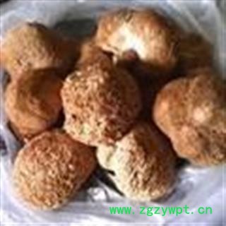 诺源药材行中药材正品猴头菇 猴头菌 实物拍摄图2
