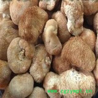 诺源药材行中药材正品猴头菇 猴头菌 实物拍摄图3