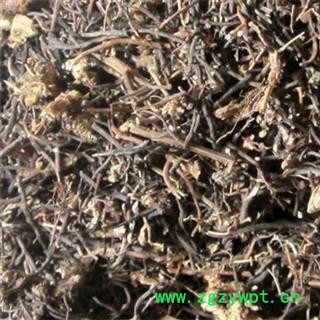 中药材铁线威灵仙 别名百条根、老虎须、铁扫帚 产地辽宁 品种齐全图2