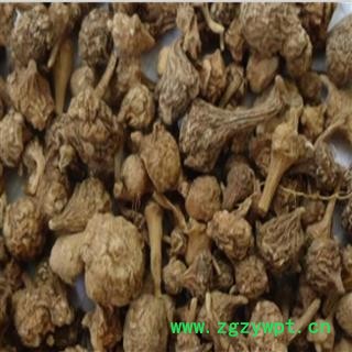 珠子参 太子参统货 产地 云南省图2