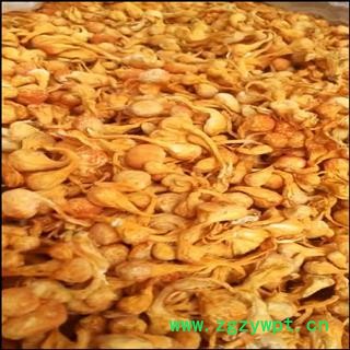 诺源中药材特大孢子头金虫草  金虫草实物拍摄图2