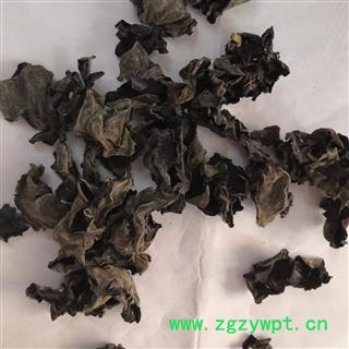 安祁名药黑木耳 东北椴木耳图2