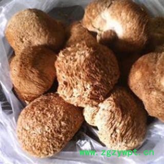 安祁名药 食用菌冬菇 猴头菇图2