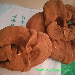 安祁名药正品灵芝 长白山孢子粉灵芝图2