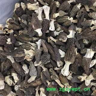 羊肚菌 正宗西藏野生、羊肚菌优质精选 无污染无添加图3