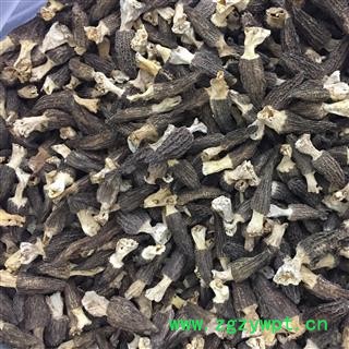 羊肚菌 正宗西藏野生、羊肚菌优质精选 无污染无添加图2